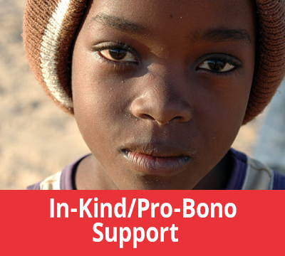 In-Kind/Pro-Bono Support